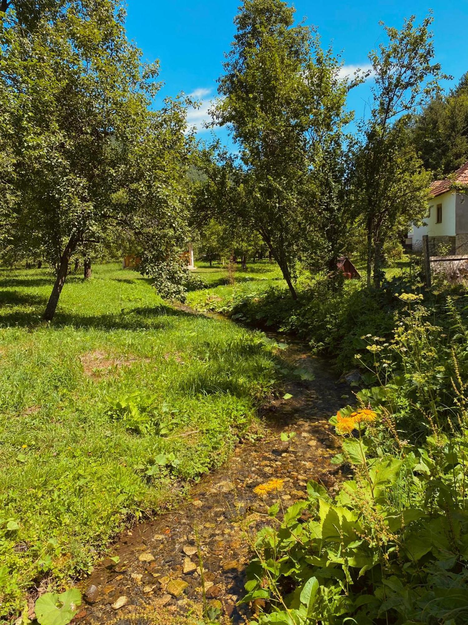 Farmstead Green Haven モイコヴァツ エクステリア 写真